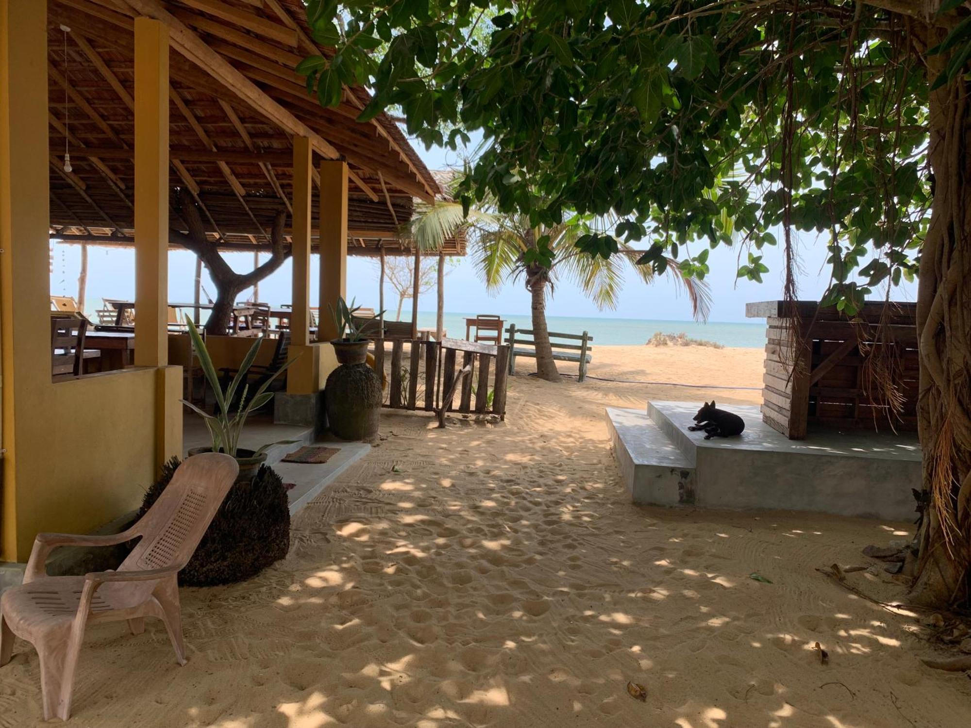 Ocean View Beach Resort - Kalpitiya Exterior photo